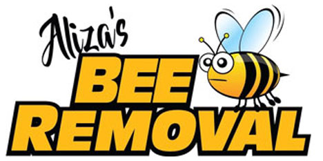 Aliza's Bee Removal